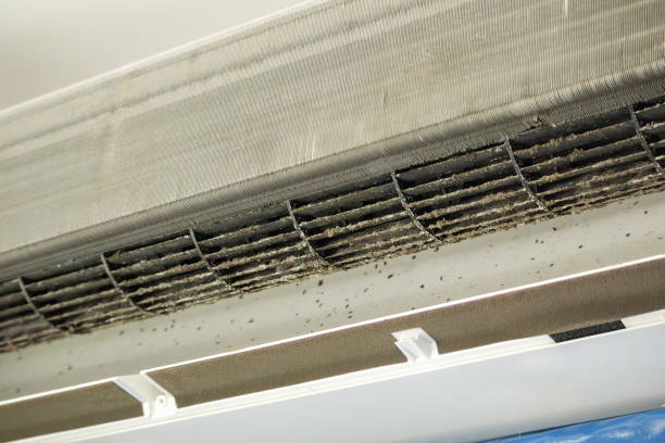 Best Air Vent Cleaning Services  in New Franklin, OH